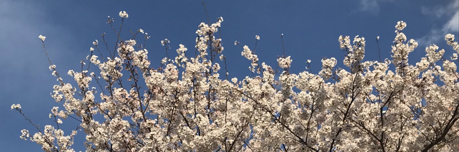 八州　桜斎【伯爵】 banner