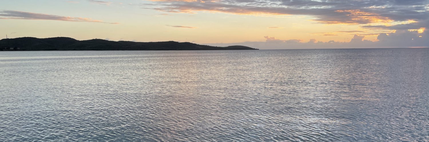 marleinenegron's profile banner image