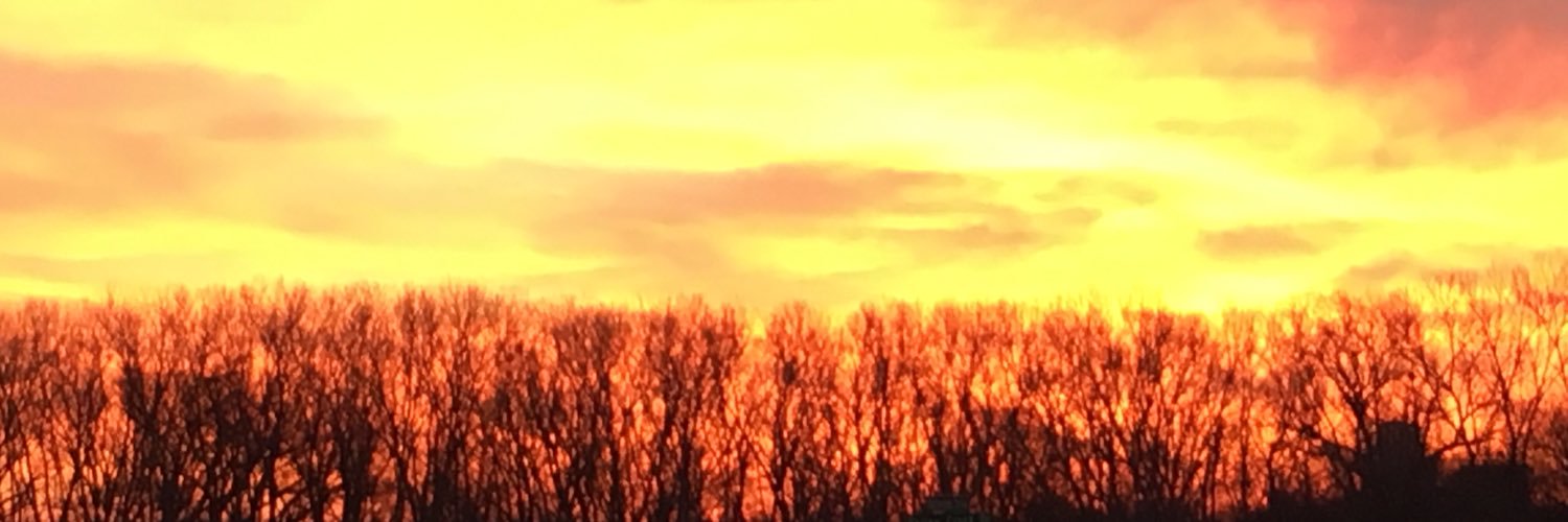 vcjmd89's profile banner image