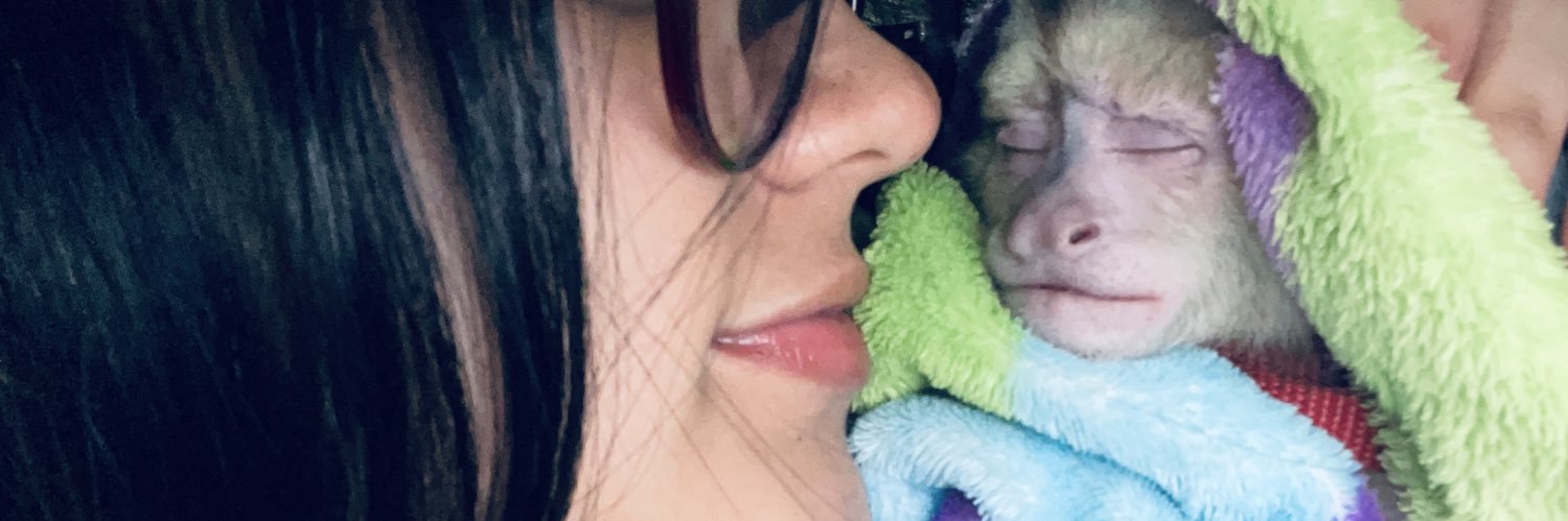 vickyy241's profile banner image