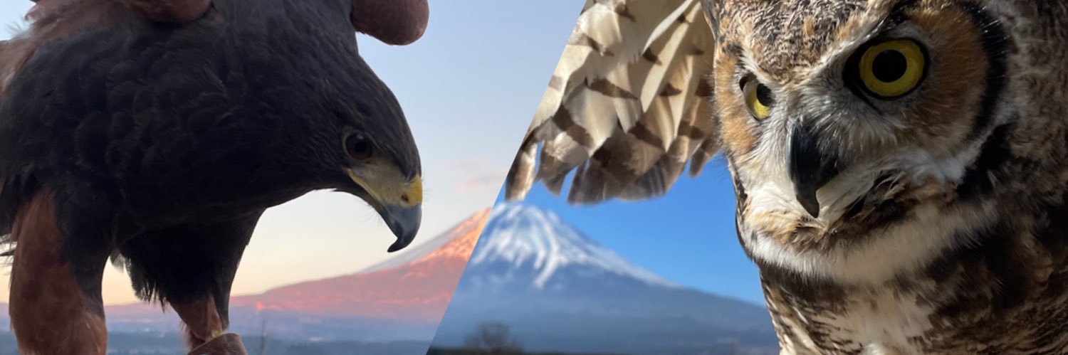 猛禽キャンパー🦅🦉Jack☠️ banner