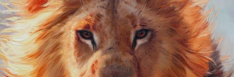 igormozerr's profile banner image