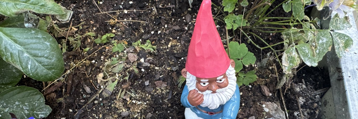 Rosemarie Peña, PhD Childhood Studies banner