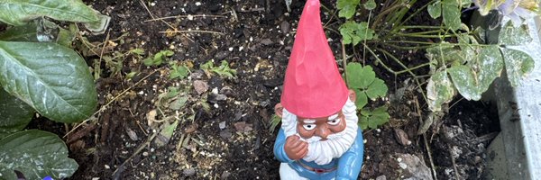 rosepena Profile Banner