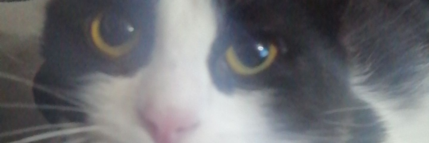Adriana Mora Chisaca banner