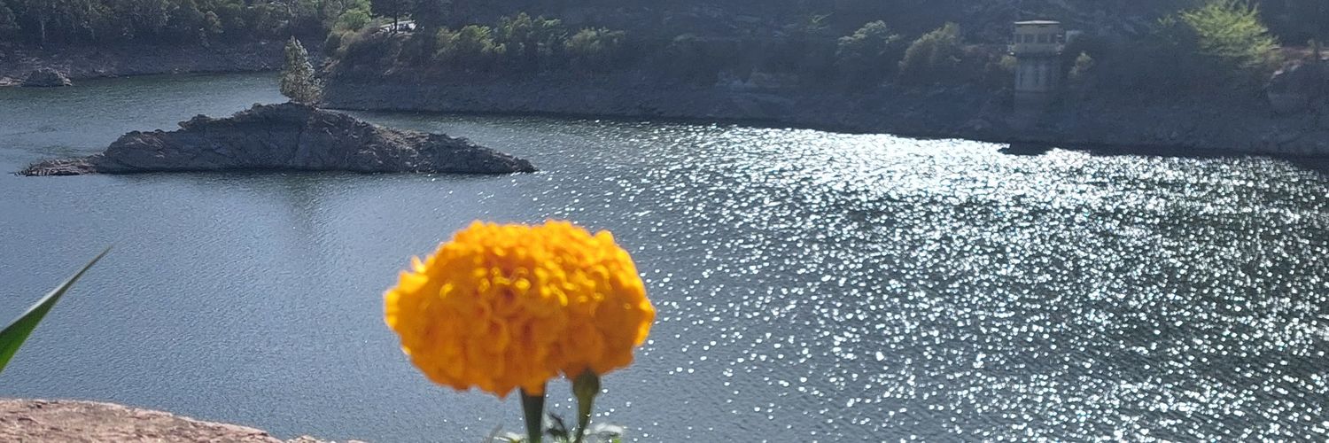 ileveuthey's profile banner image