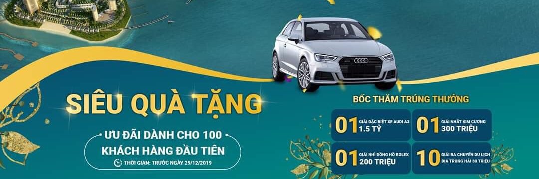 quy ❤️ Memecoin banner