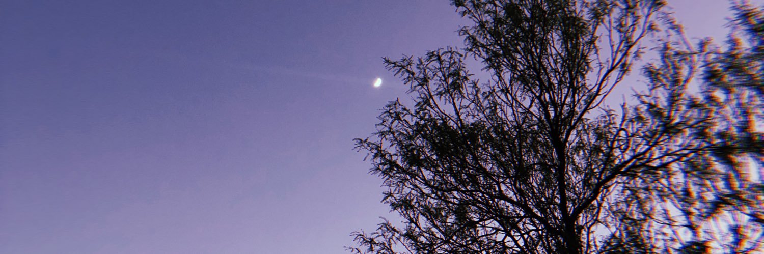 Servando_Rivas's profile banner image