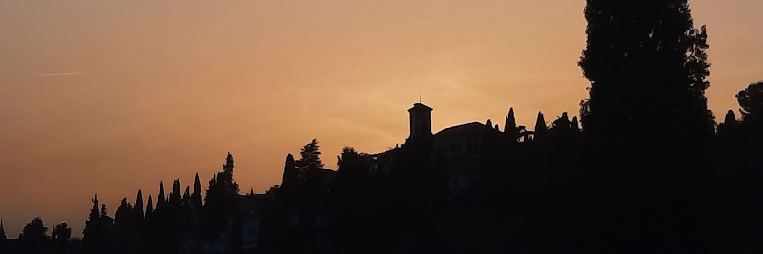 danimoi banner