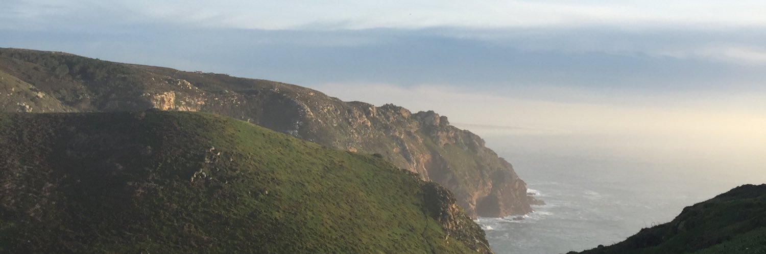 Regina Cervera banner