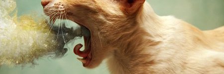 crayoh's profile banner image