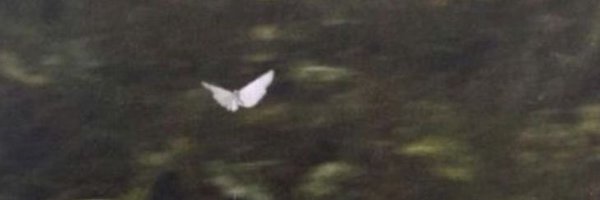 sasabyme Profile Banner