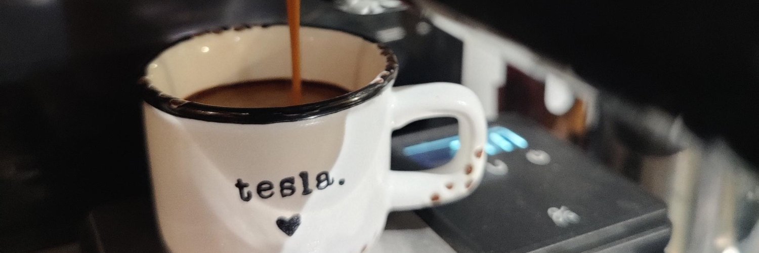 Joseph 💎✌️🪑🇺🇸 Tesla Long Term Investor banner