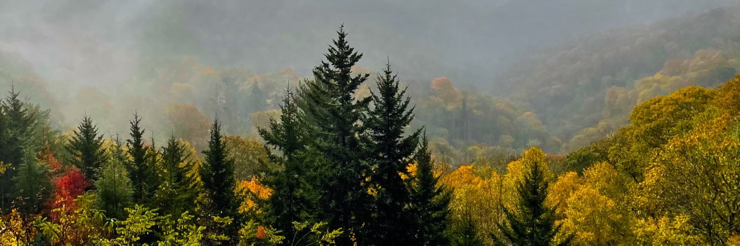 EdVildibill's profile banner image