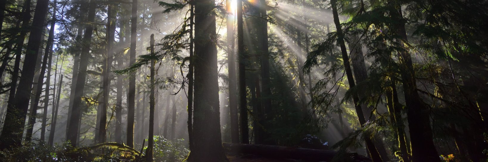 summertimecoolj's profile banner image