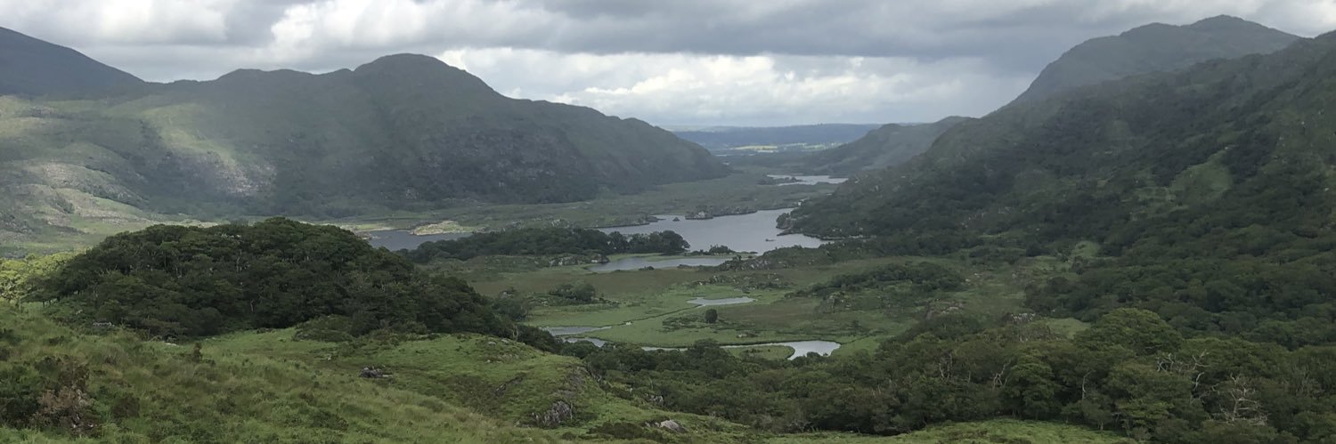 Annette Purcell banner