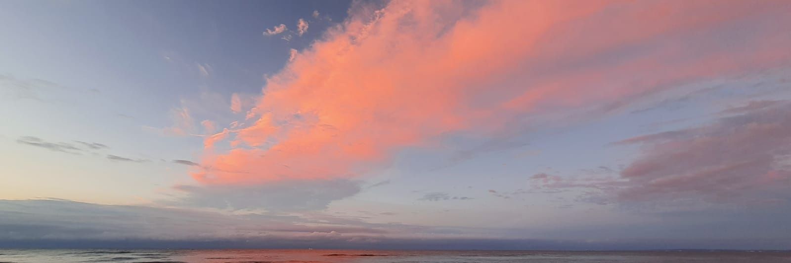 Annett Gräfe-Geusch banner