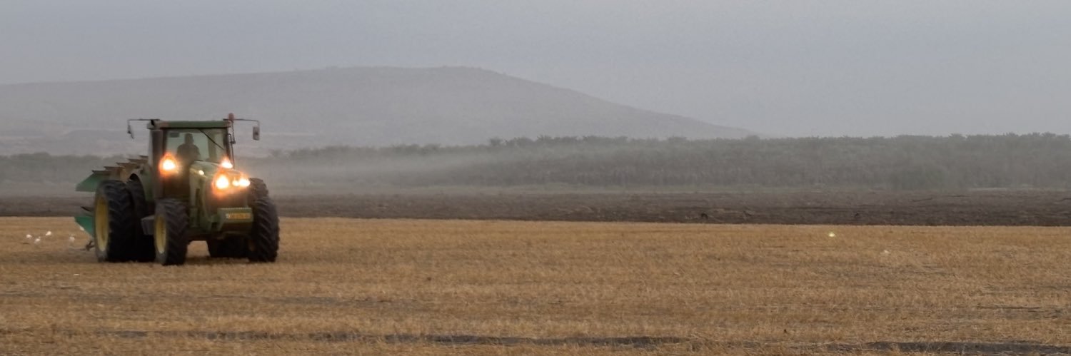 מיני מילקי, מיני מושט ומוקי D banner