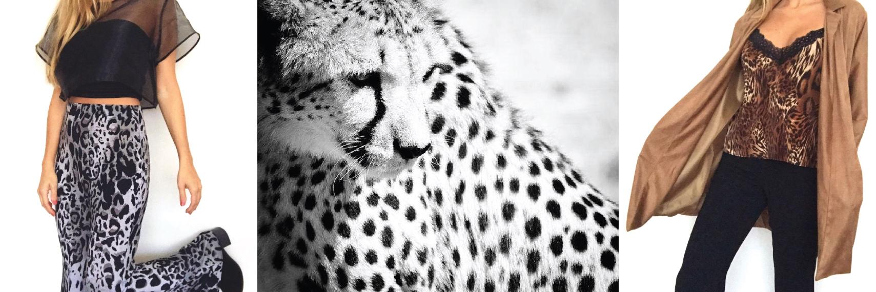 Conquestaa's profile banner image