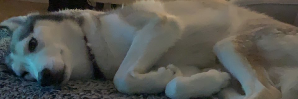 JoeManOnThaMoon's profile banner image