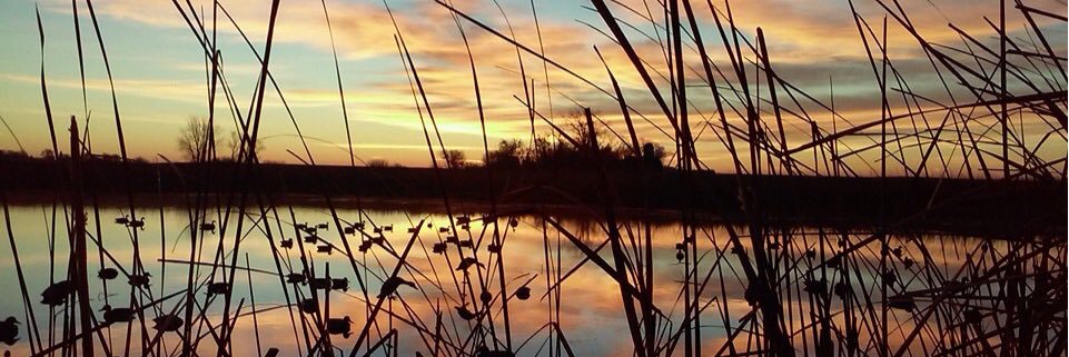 rkc1080's profile banner image