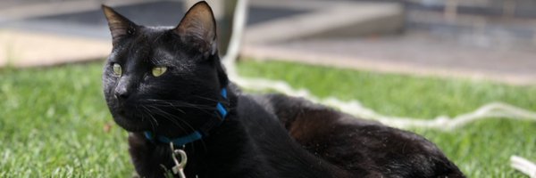 AntonioG_17 Profile Banner
