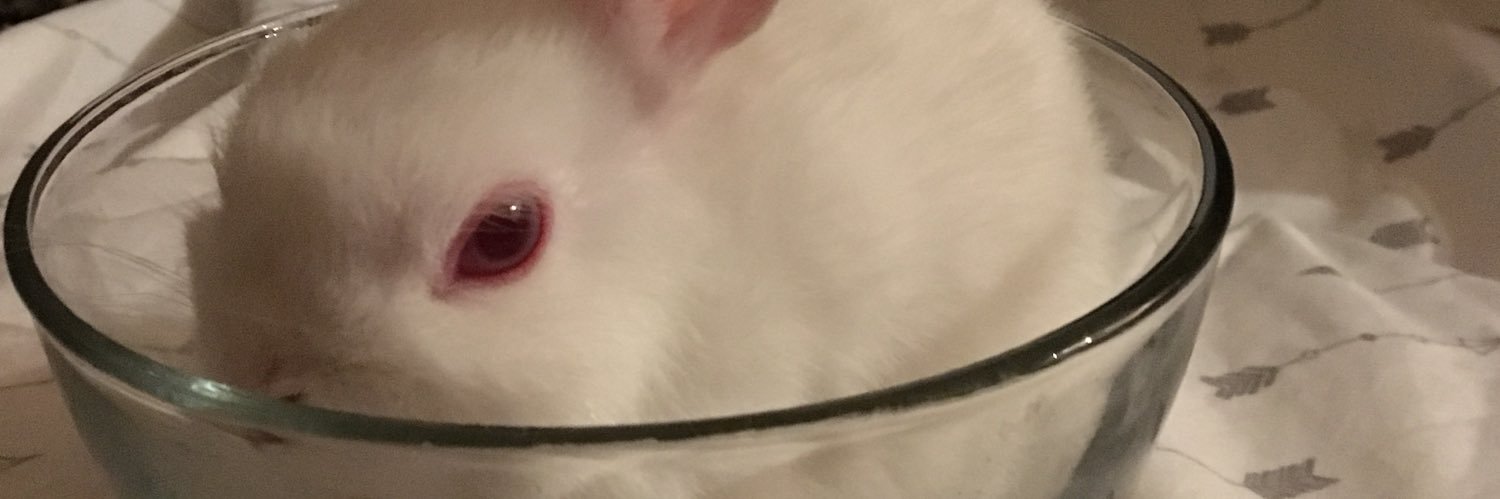 vinceo66's profile banner image