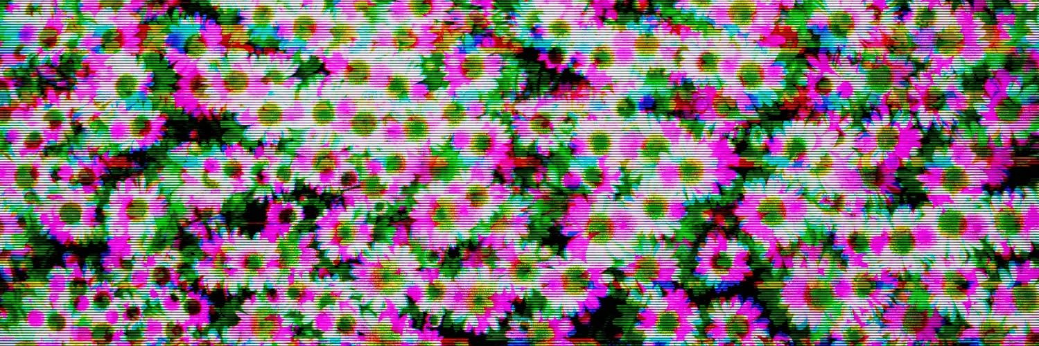 𝘈𝘶𝘳𝘦𝘭𝘪𝘢 💕 banner