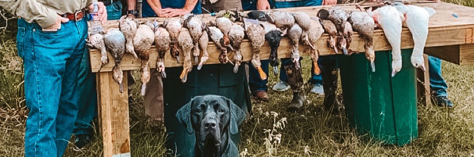 carsoncook66's profile banner image