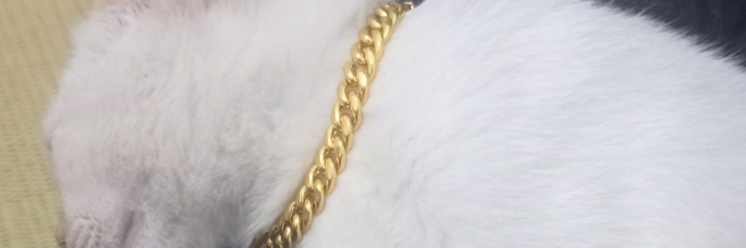paullumere's profile banner image