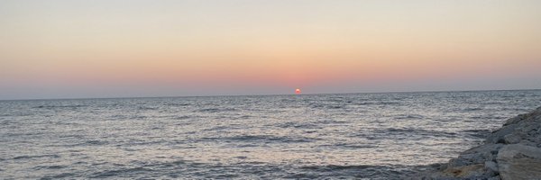 Sara_JayneD Profile Banner