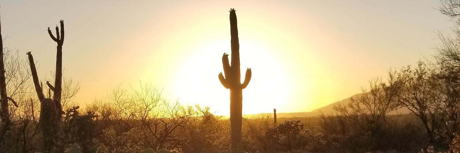 IlluminatiScotE's profile banner image