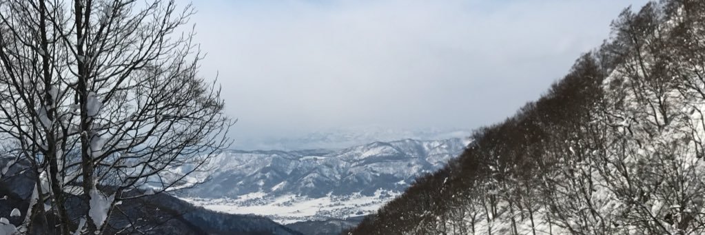 Simone Larkin banner