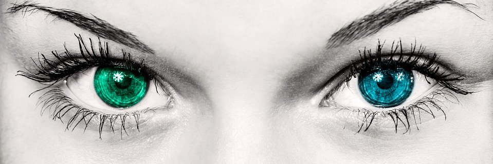rokbz's profile banner image