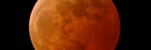 Meipsa's profile banner image