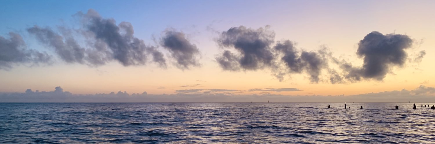 Lilly Middleton banner