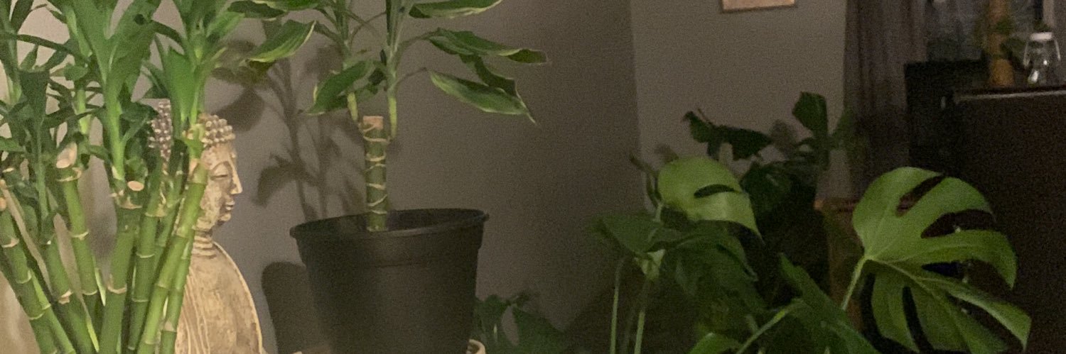 mexbeaner33's profile banner image