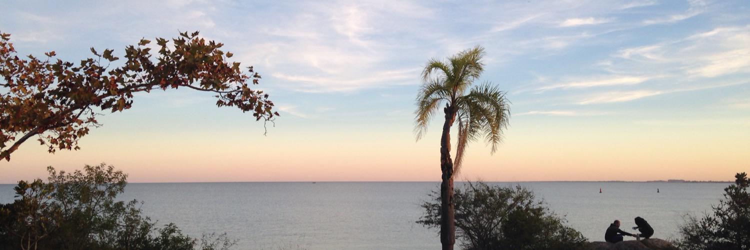gabif86's profile banner image