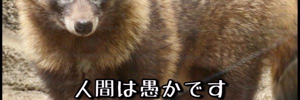 hiro2044m Profile Banner