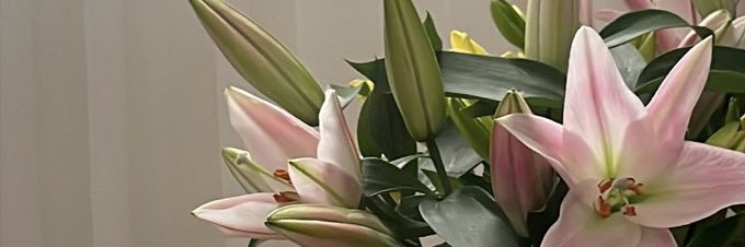al_34n's profile banner image
