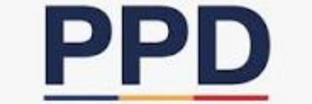 PPDNunoa's profile banner image