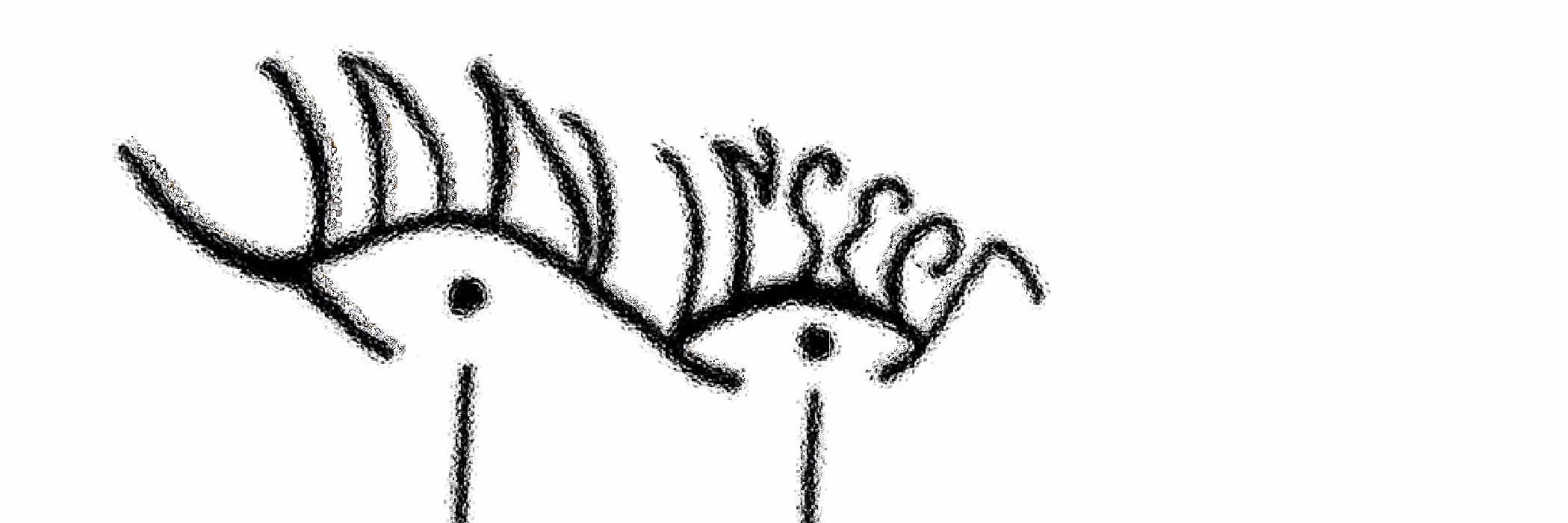 IanInsect's profile banner image
