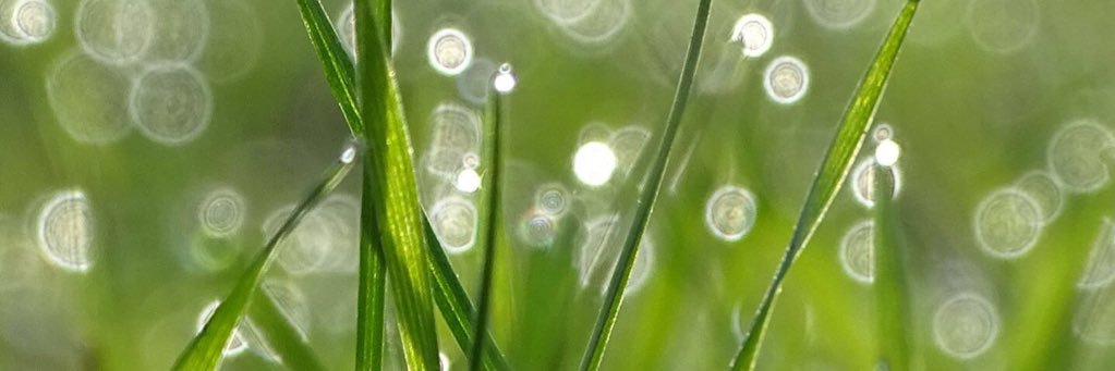 sunshinf00's profile banner image