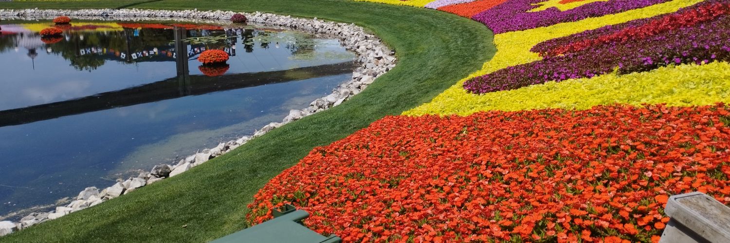 Ácido, un gusto... 🤓🖤 banner