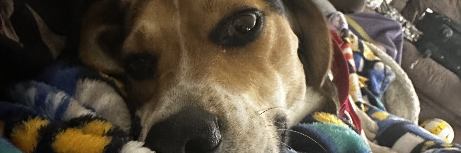 RJDHT22's profile banner image