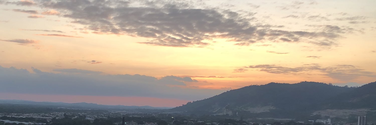 lizamceli's profile banner image