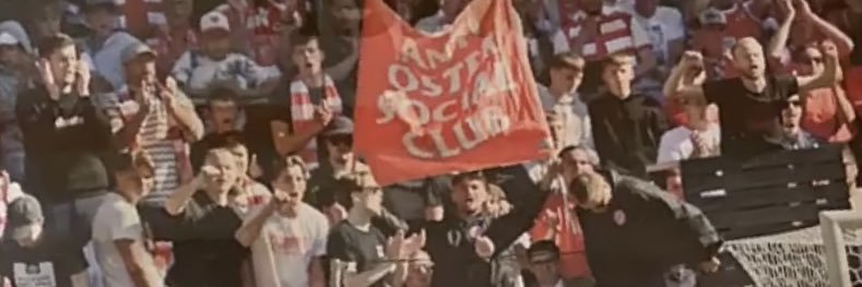 momentumviggo banner