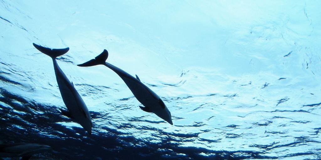 知らなければならない歴史の事実 banner