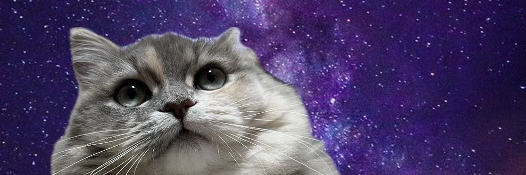 타카키 タカキ banner