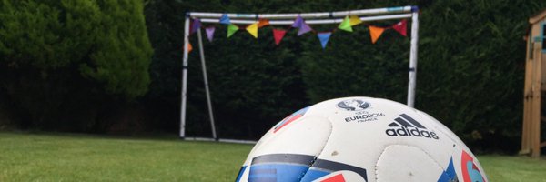 carltrev Profile Banner